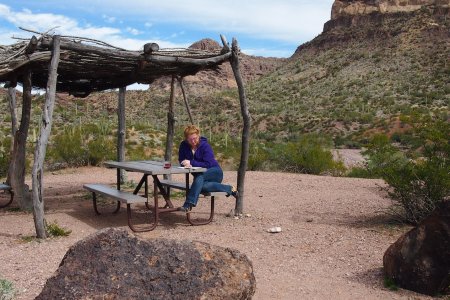 Lunch in Orchan Pipe National Monument